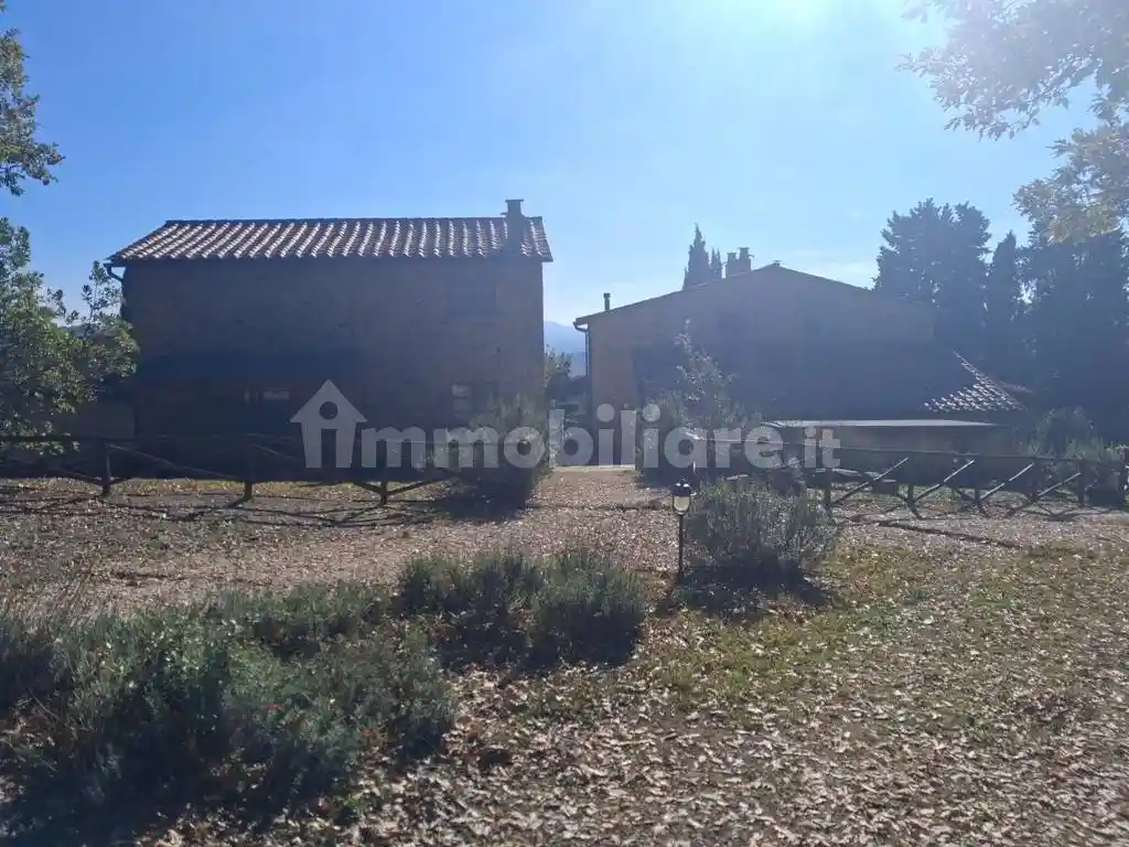 Terratetto plurifamiliare Località Fattoria Cotorniano, Casole d'Elsa - foto 5
