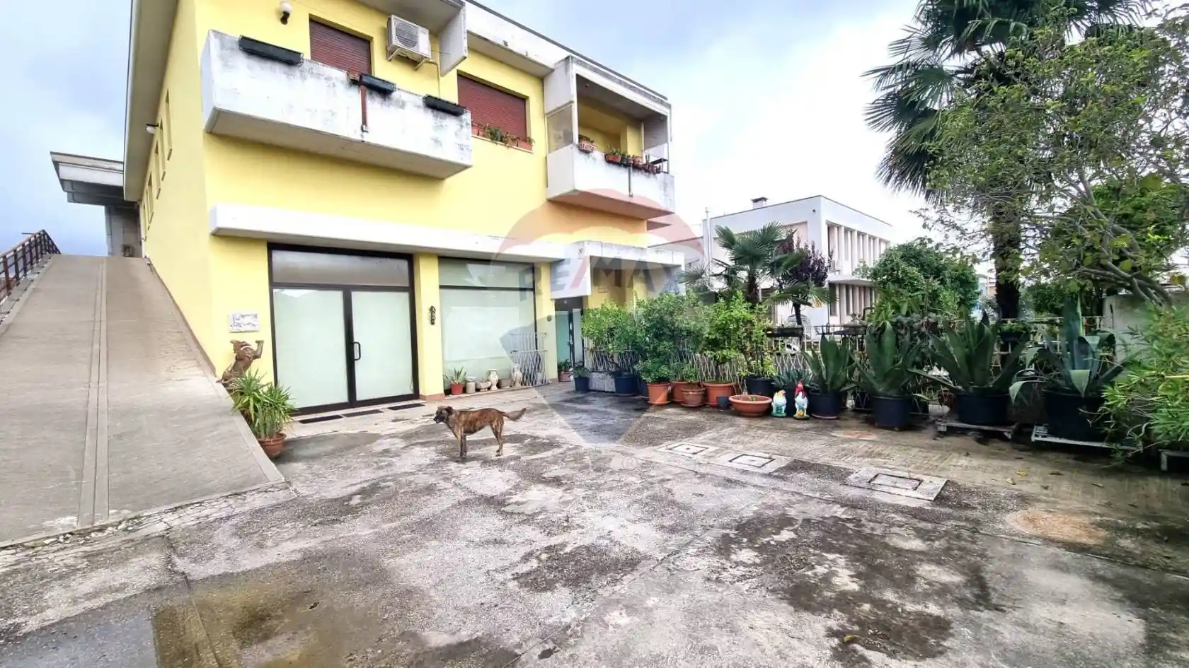 Palazzo - Edificio in vendita a Albignasego