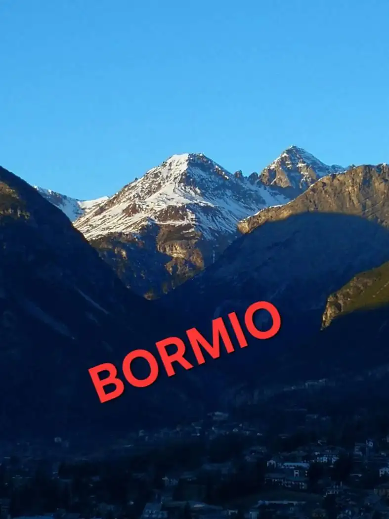 Appartamento in affitto a Valdisotto