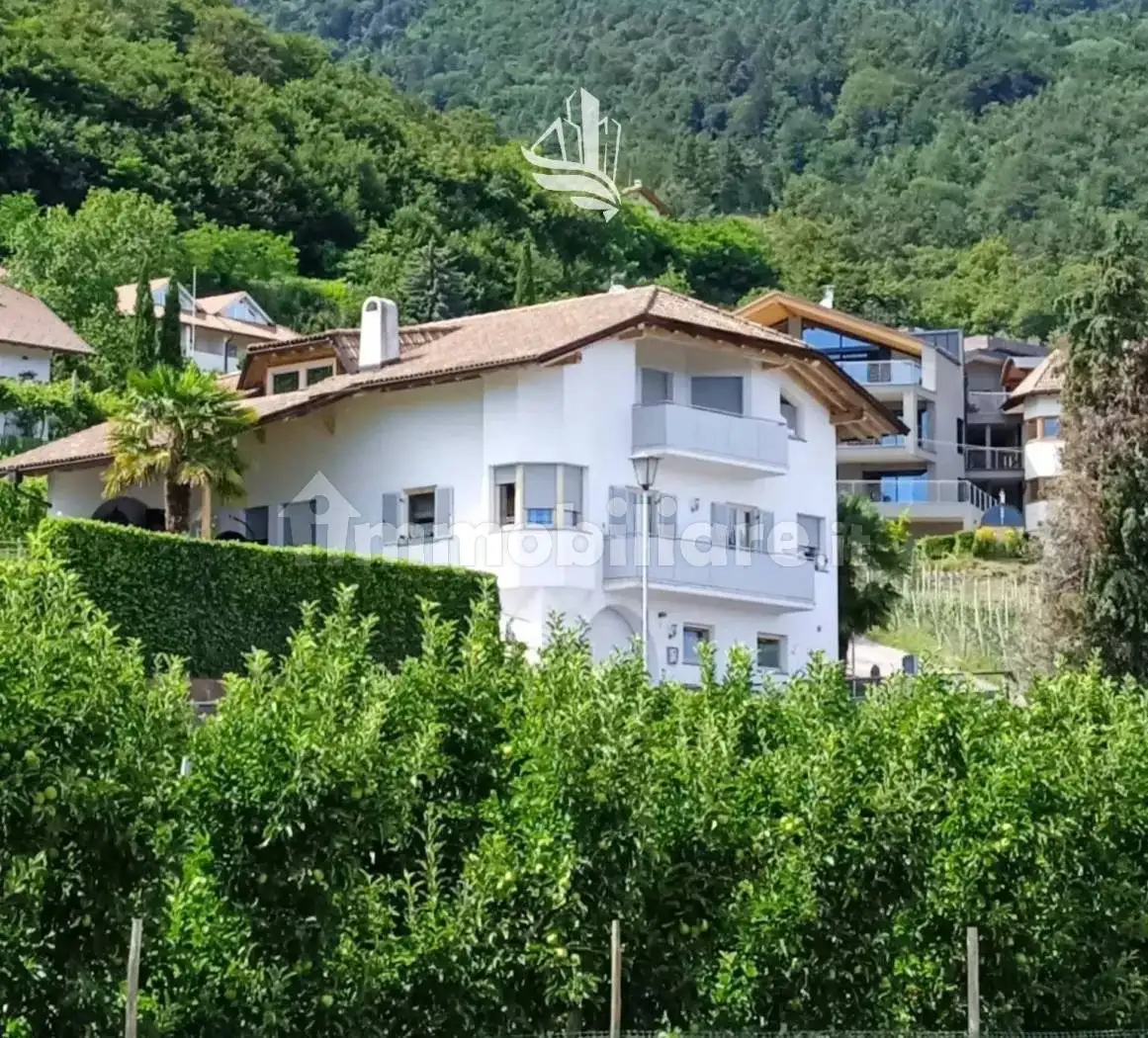 Terratetto unifamiliare Heppenheimer Straße, Centro, Caldaro sulla Strada del Vino - foto 3