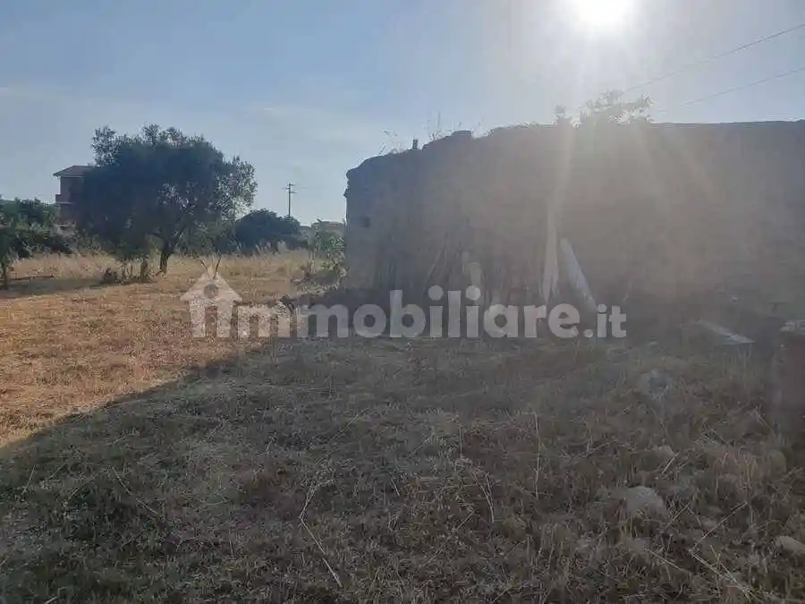Villa unifamiliare, buono stato, 50 m², Zambrone - foto 5