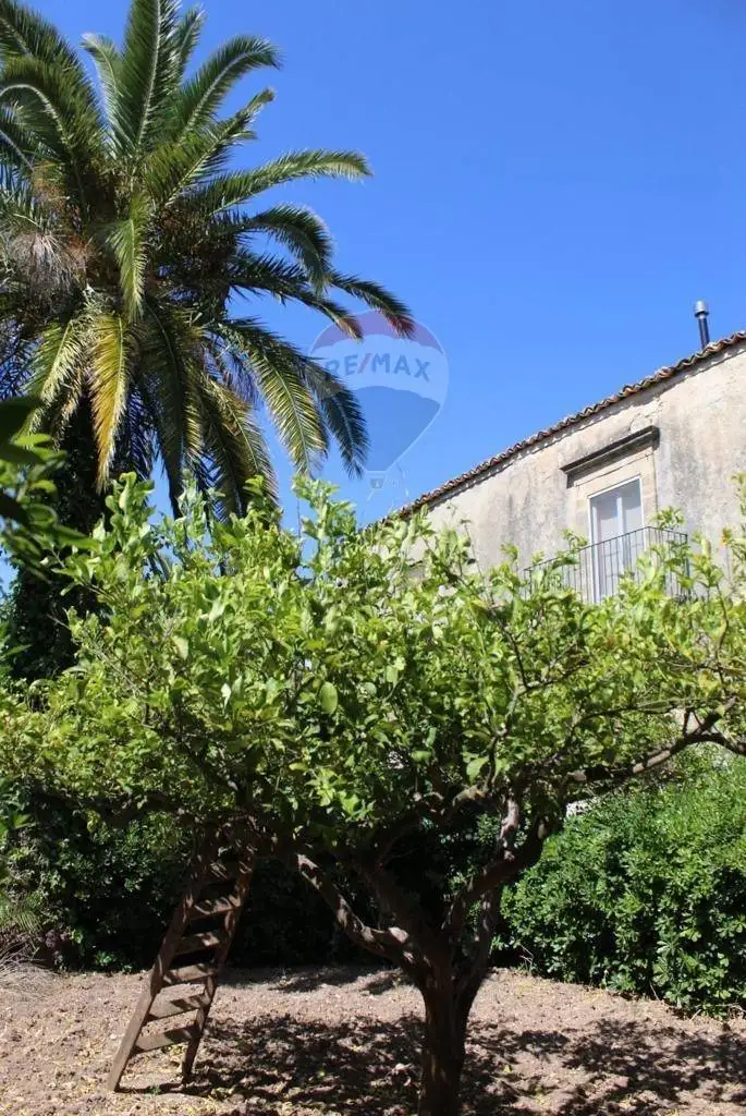 Terratetto unifamiliare Contrada Ponte, Chiaramonte Gulfi - foto 5