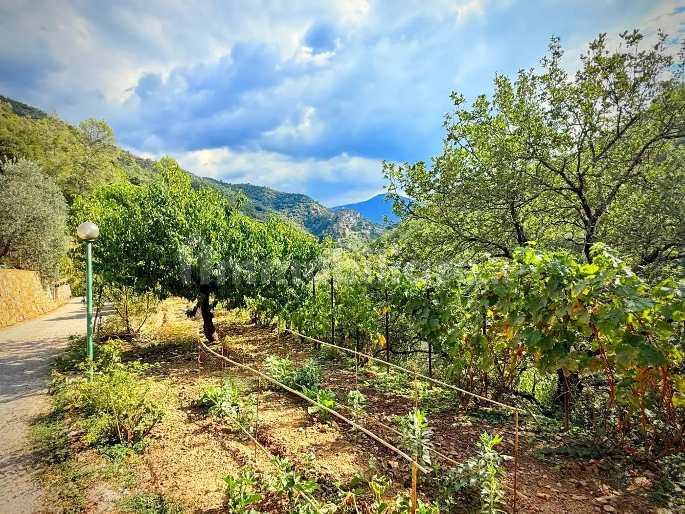 Villa bifamiliare Sp63, Apricale - foto 5