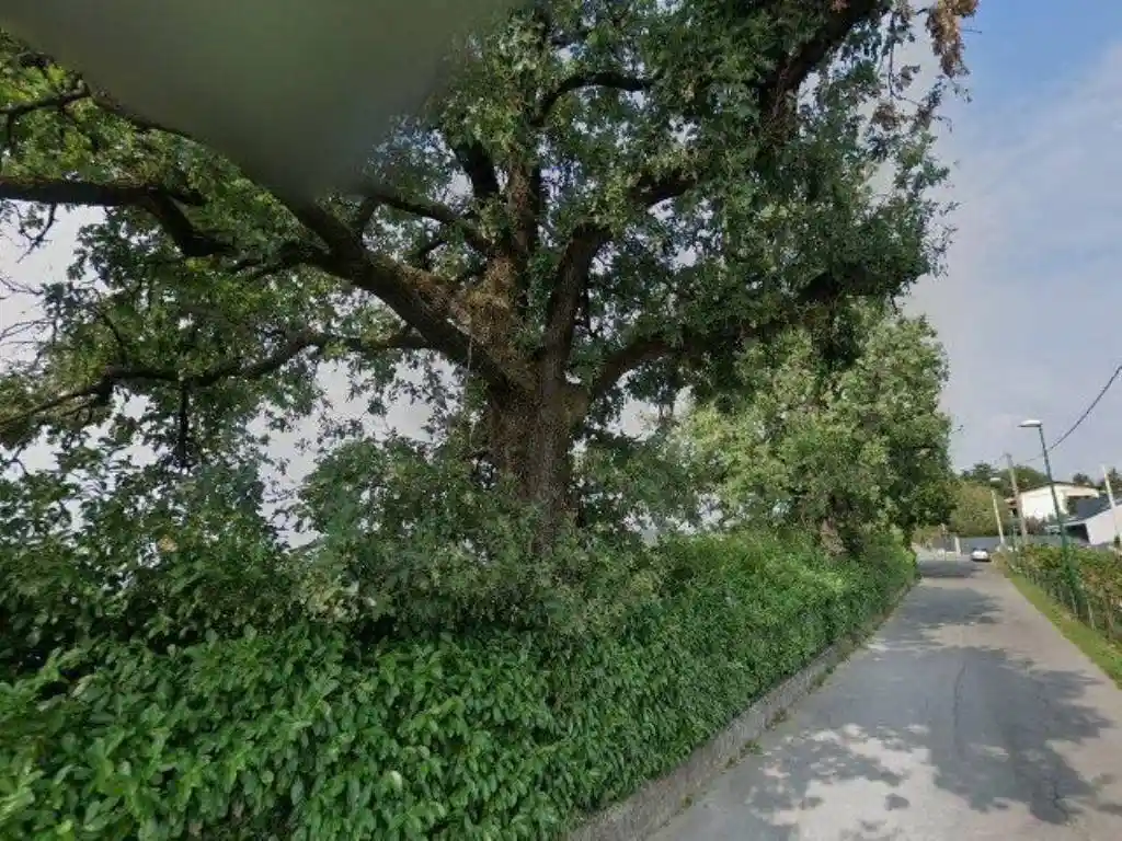 Villa in vendita a Scanzorosciate