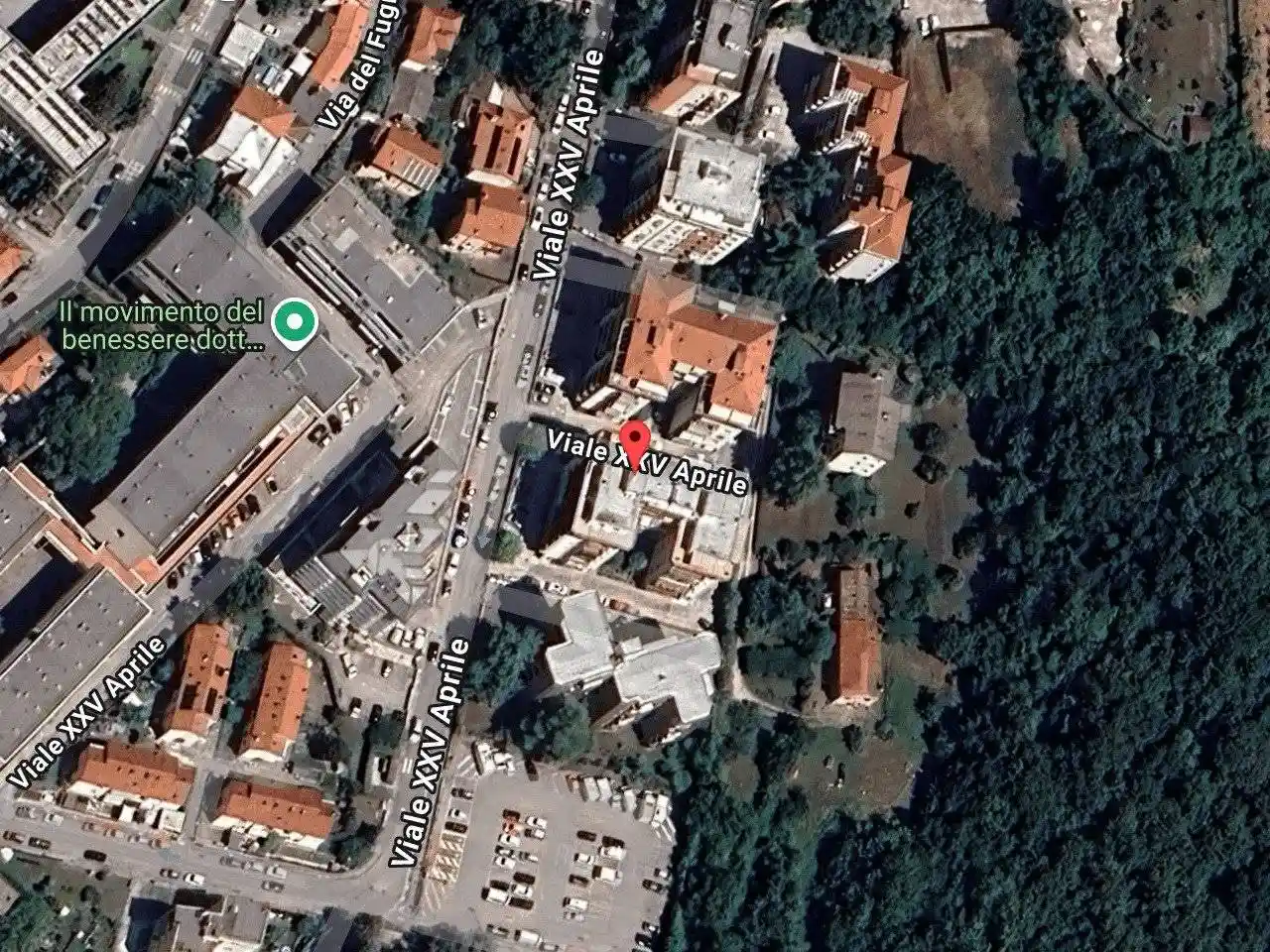 Appartamento all'asta viale XXV Aprile, 39A, 34015 Muggia Italia - 34015 Muggia 39A, Muggia - foto 2