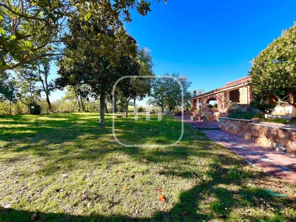 Villa unifamiliare LOCALITà MONTE DI COLONNA, Faleria - foto 3