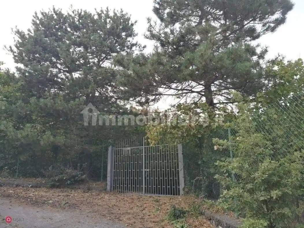Rustico - Casale in vendita a Mascali