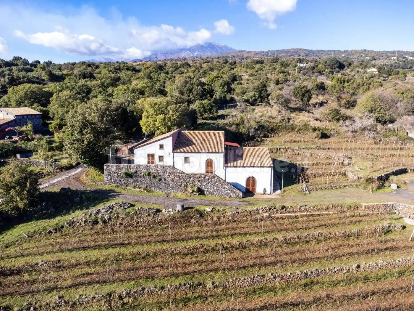 Rustico - Casale in vendita a Mascali