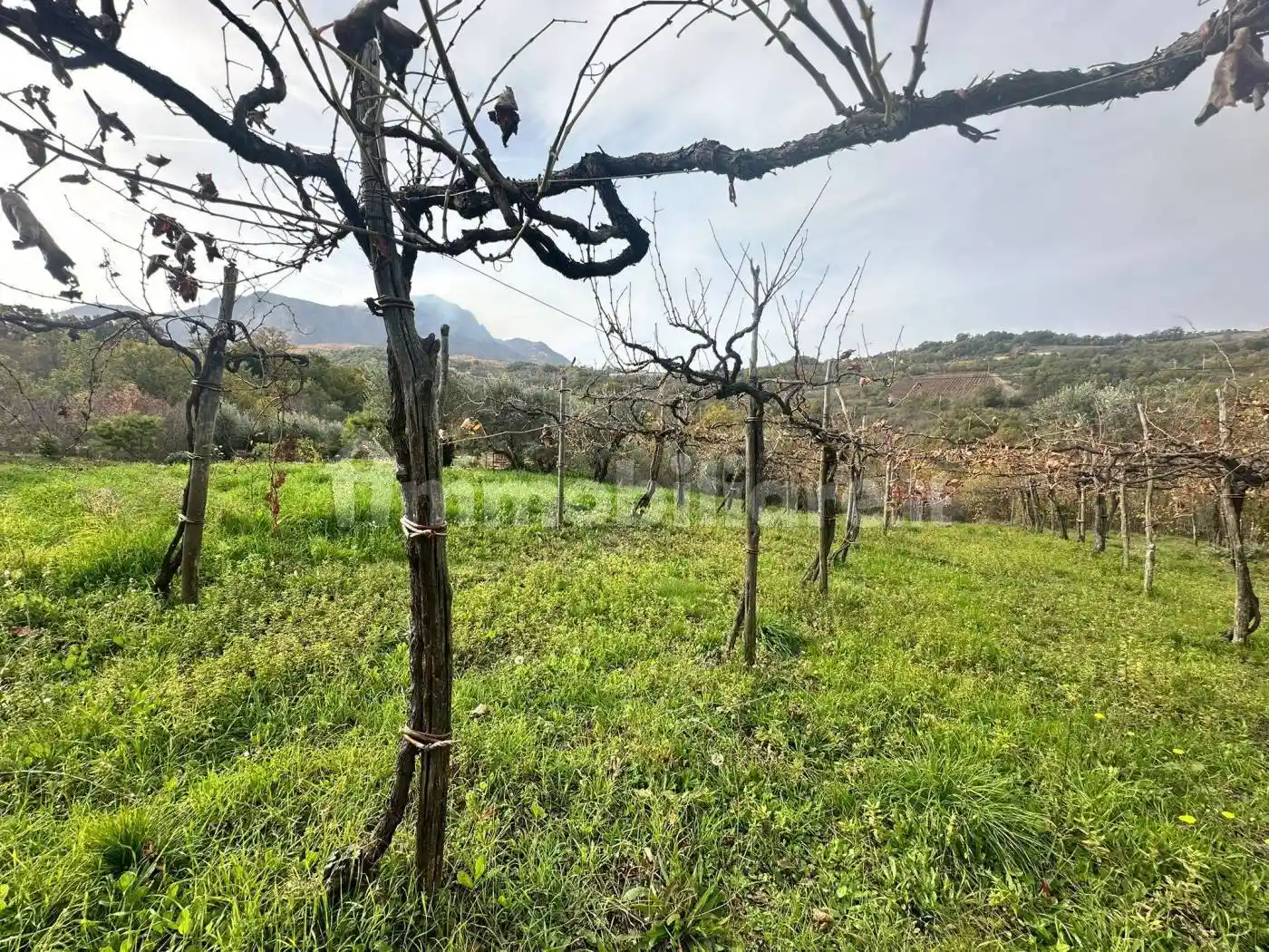 Rustico - Casale in vendita a Castelvetere sul Calore