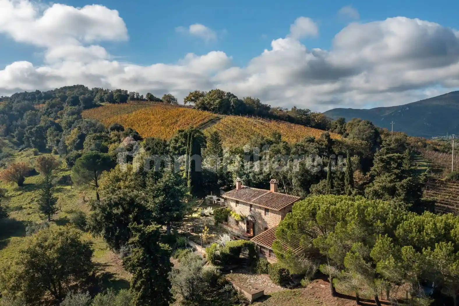 Rustico - Casale - foto 5