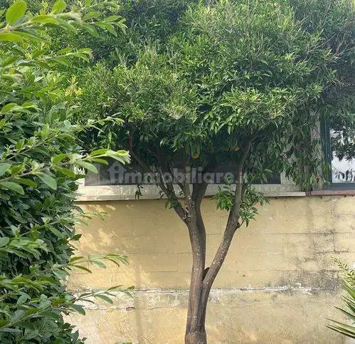 Villa unifamiliare, buono stato, 95 m², Ameglia - foto 5