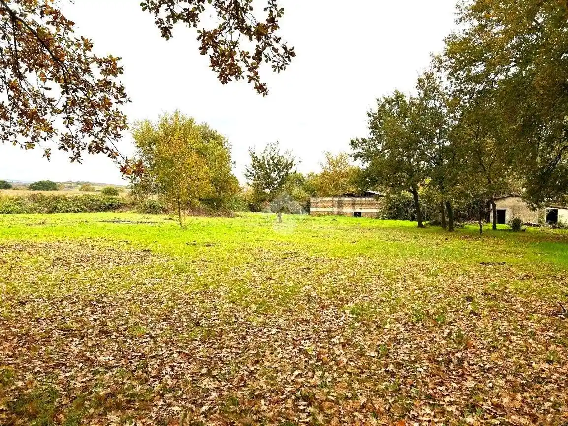 Rustico - Casale in vendita a Sutri