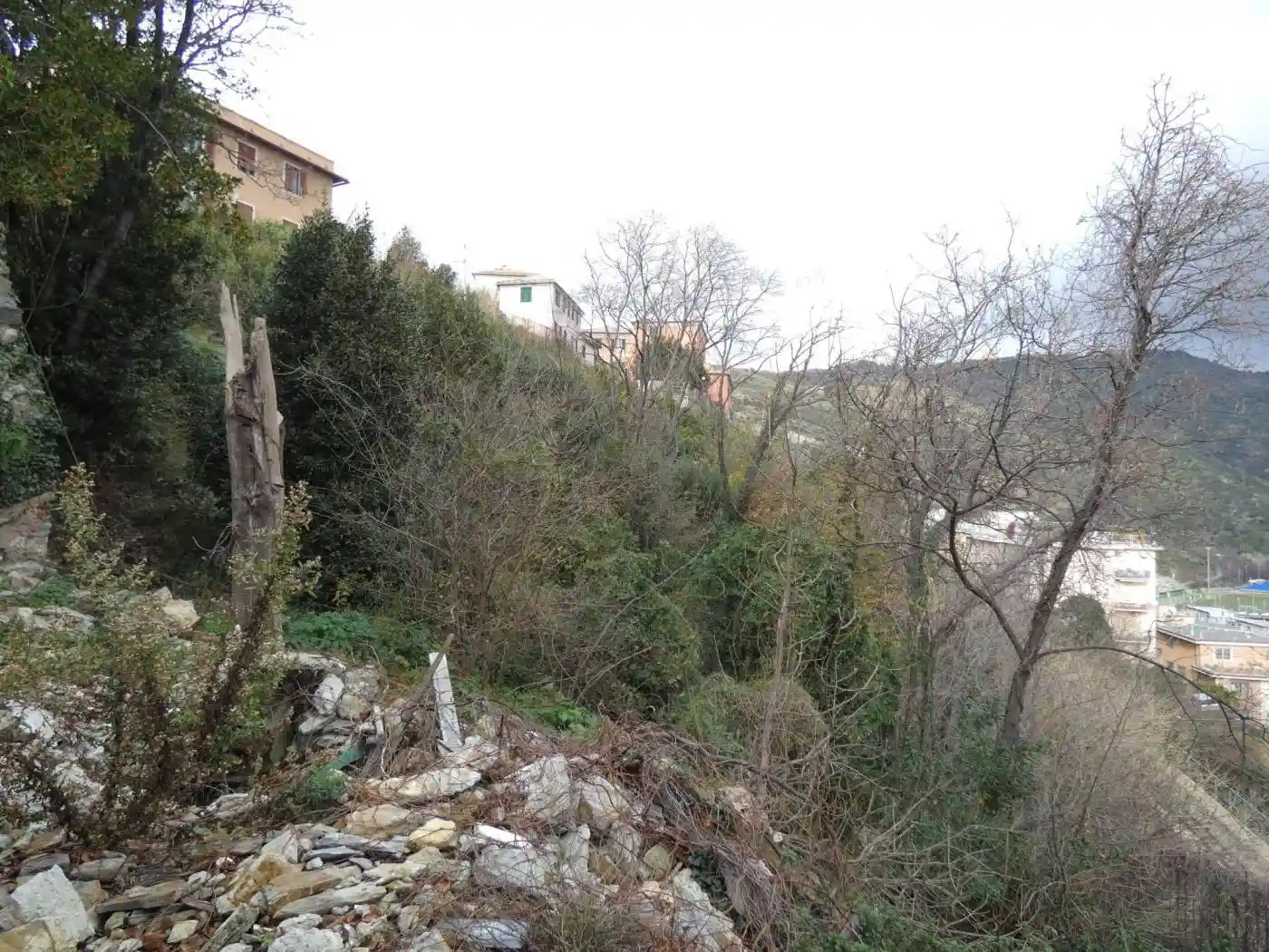 Rustico salita di Granarolo 27, San Teodoro, Genova - foto 5