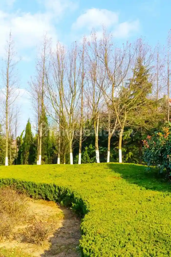Trilocale buono stato, primo piano, San Siro, Milano - foto 4