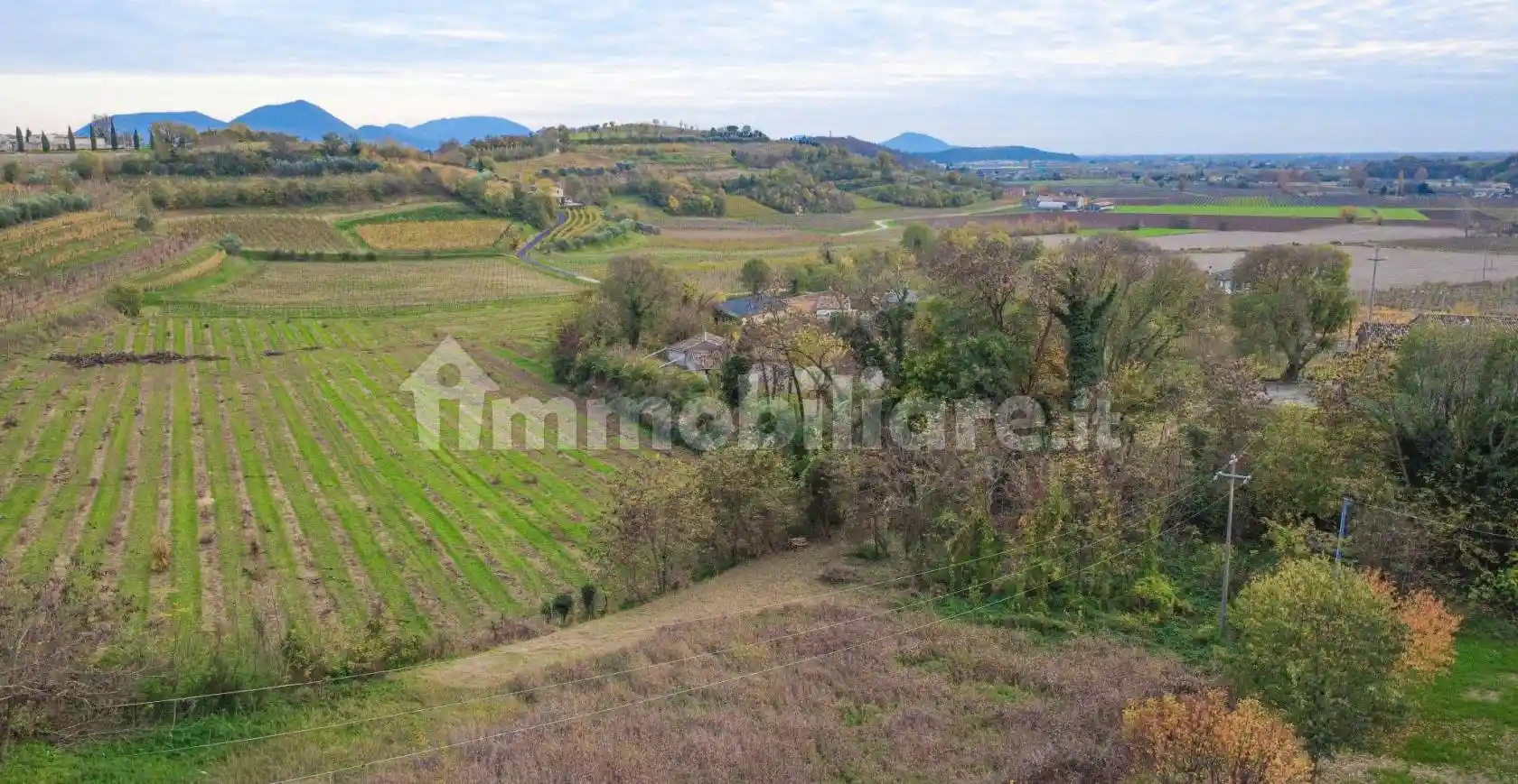 Villa unifamiliare via Calbin, Mossano, Barbarano Mossano - foto 3