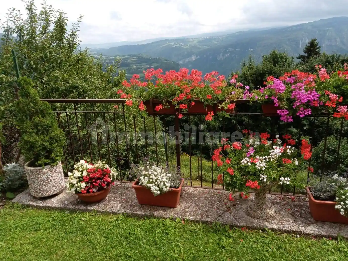 Palazzo - Edificio - foto 5