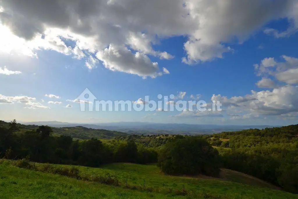 Casale via Circonvallazione Cinigiano 10, Centro, Cinigiano - foto 4