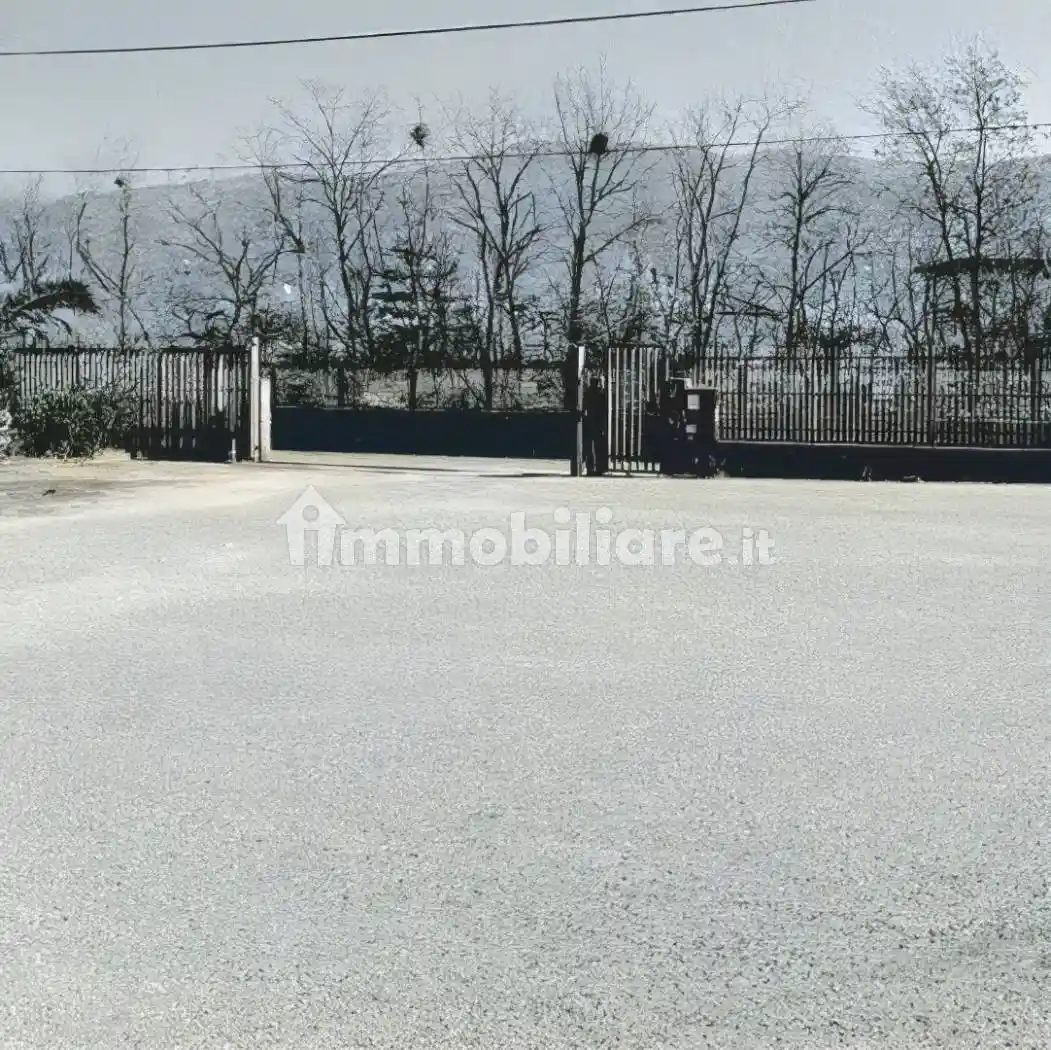 Appartamento all'asta via Sant'Antonello, Montalto Uffugo - foto 3