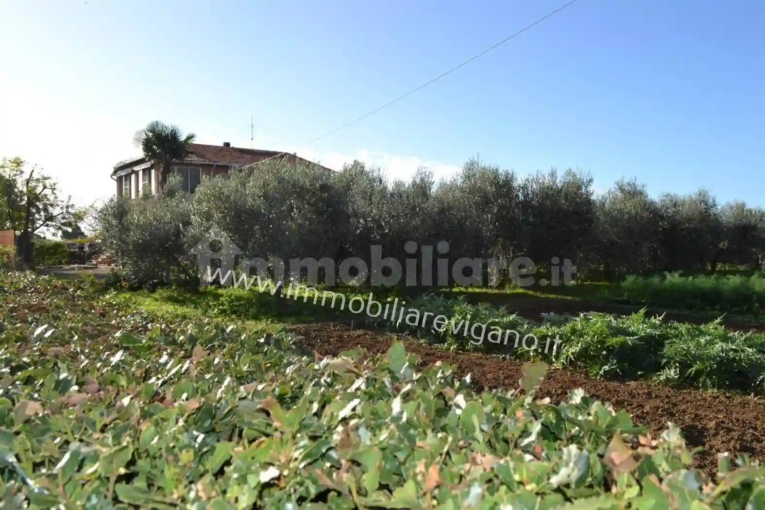 Rustico - Casale - foto 5