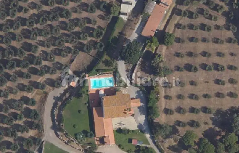 Rustico - Casale in vendita a Scansano