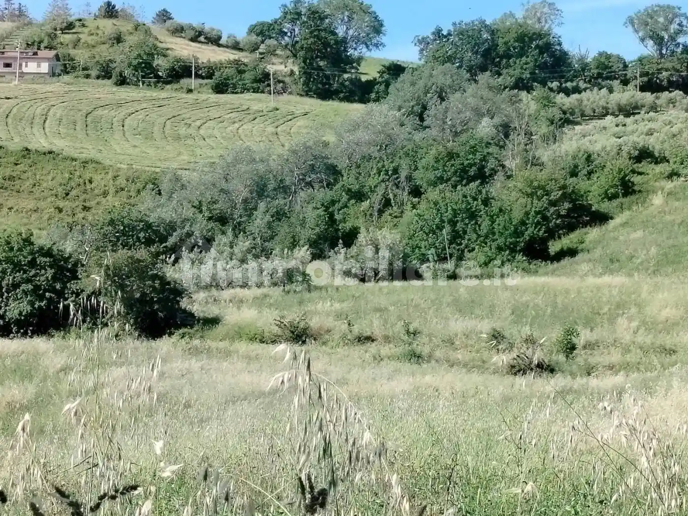 Casa colonica via Borgo Piave, Ripaberarda, Castignano - foto 5