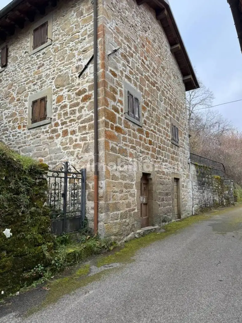 Casa indipendente in vendita a Montemignaio