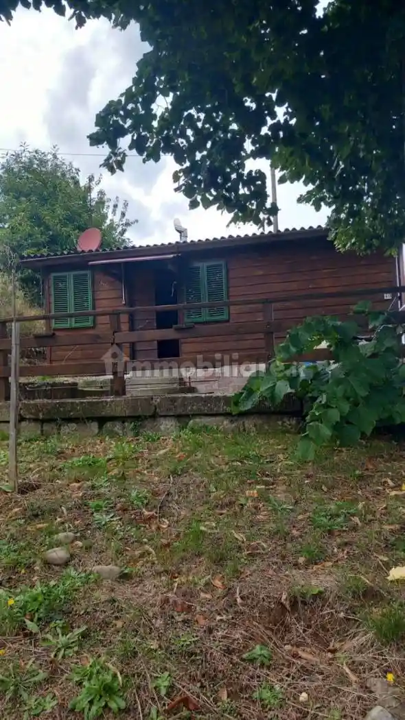 Rustico - Casale in vendita a Castel Focognano