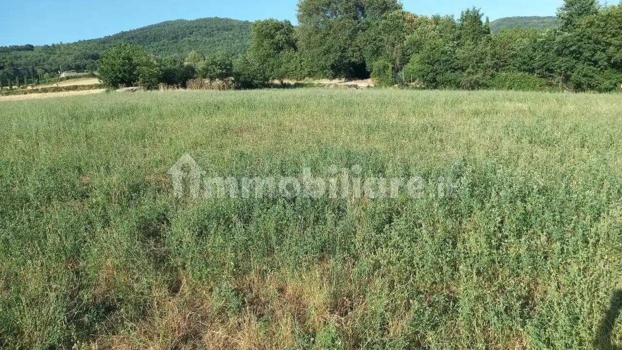 Rustico - Casale in vendita a Bibbiena