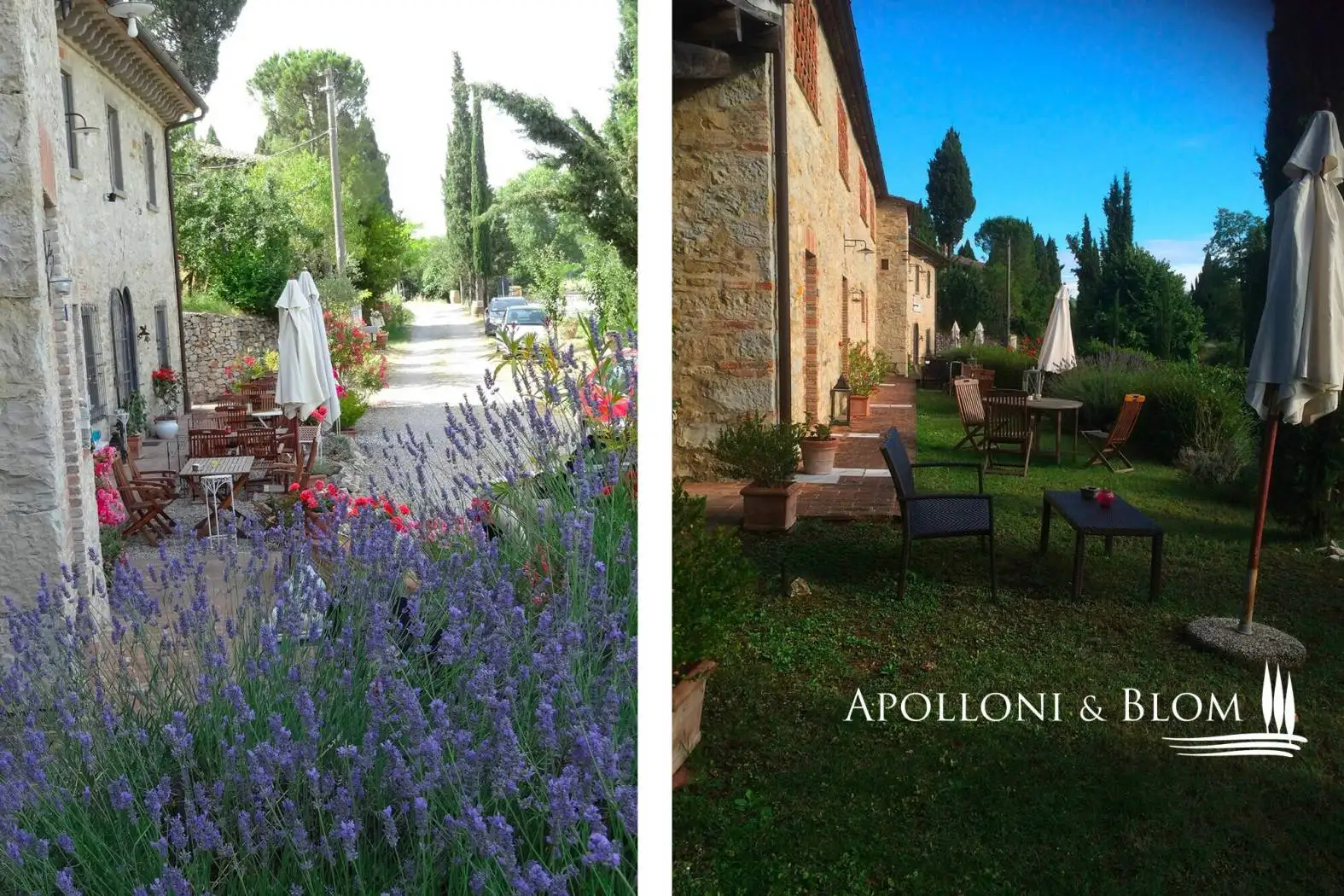 Casale, ottimo stato, 530 m², Centro, Castellina in Chianti - foto 4