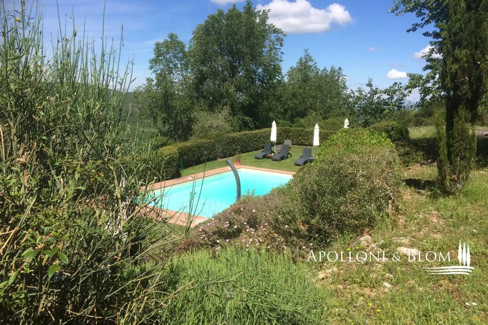 Casale, ottimo stato, 530 m², Centro, Castellina in Chianti - foto 5