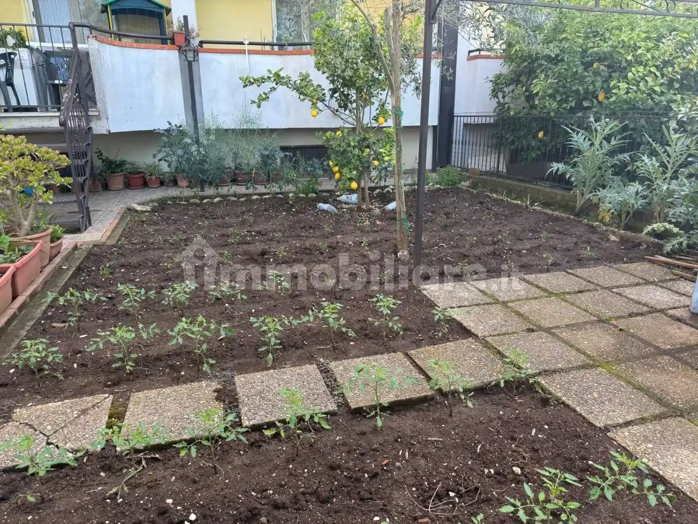 Appartamento via Risorgimento, Dugenta - foto 5