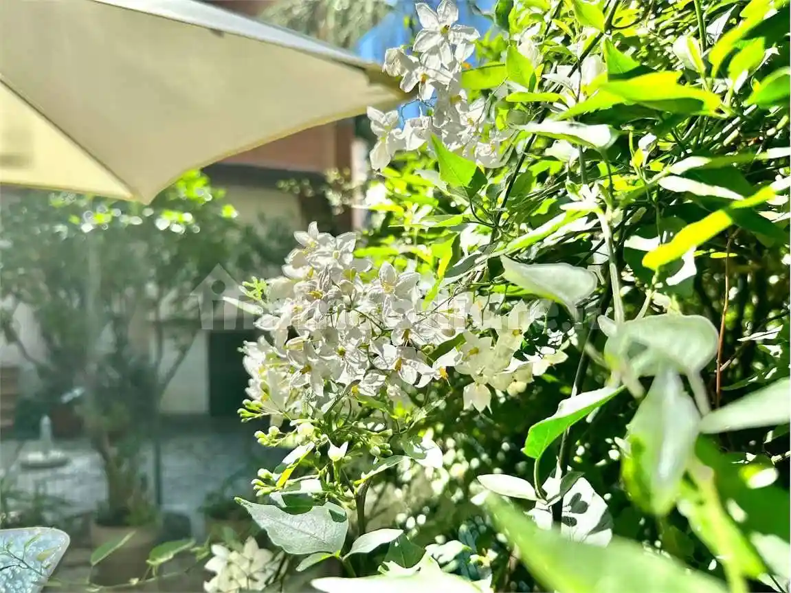 Bilocale corso Inglesi, Corso degli Inglesi, Sanremo - foto 2