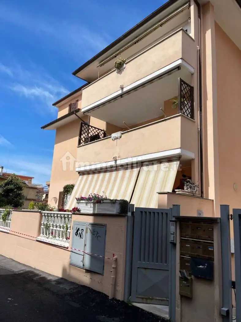 Appartamento in affitto a Ladispoli