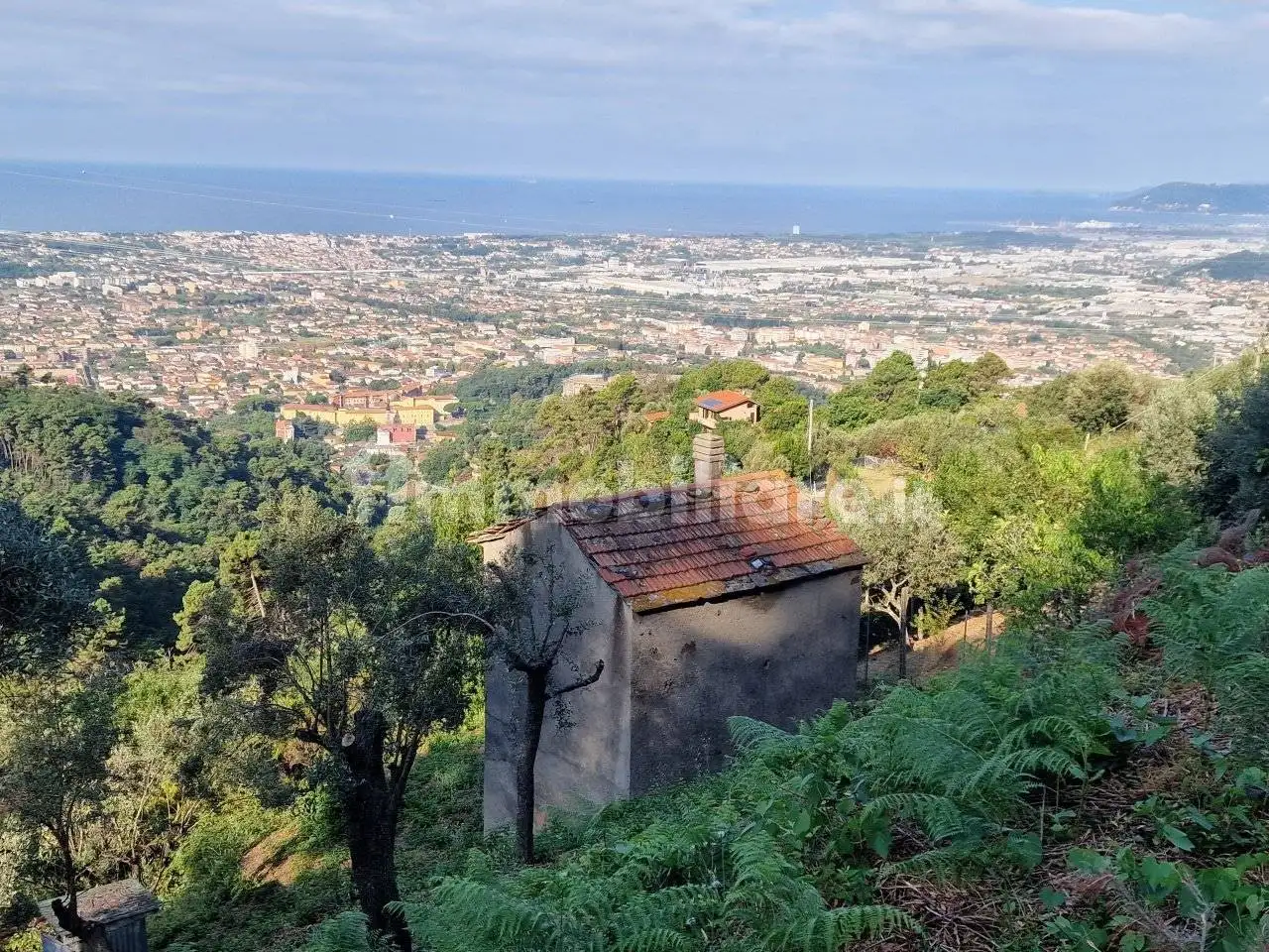 Villa in vendita a Massa