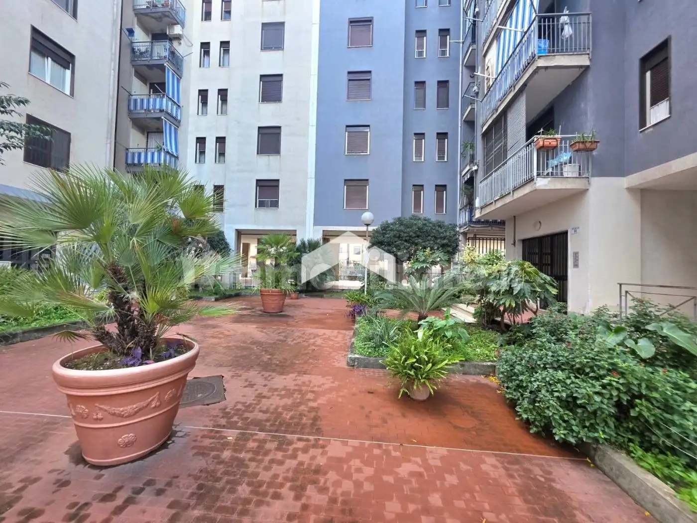 Quadrilocale viale delle Ginestre, Centro, Casalnuovo di Napoli - foto 2