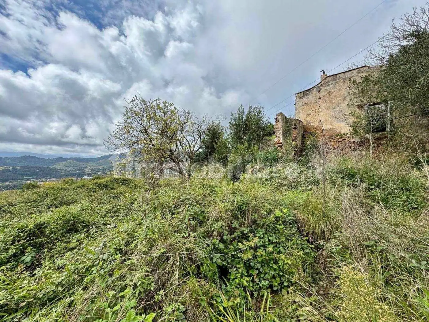 Rustico - Casale in vendita a Rio