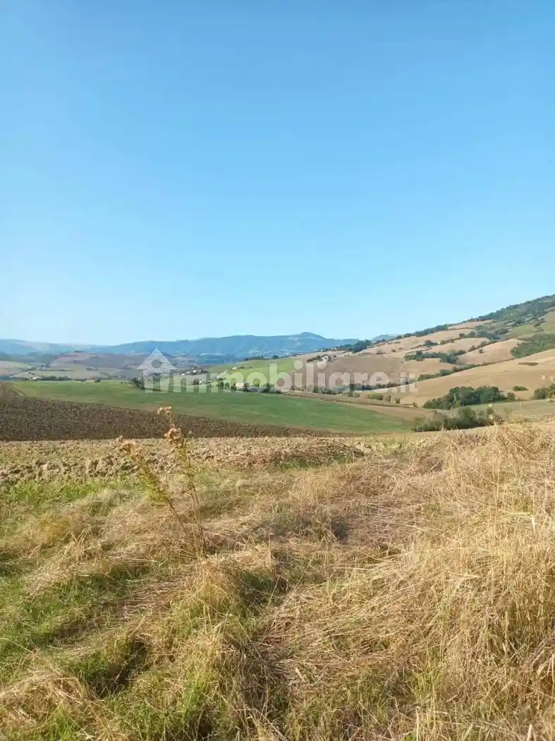 Rustico - Casale in vendita a Treia