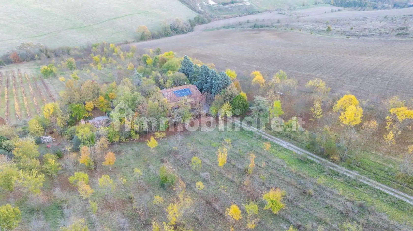 Villa unifamiliare San Martino  9/A, Dozza - foto 4