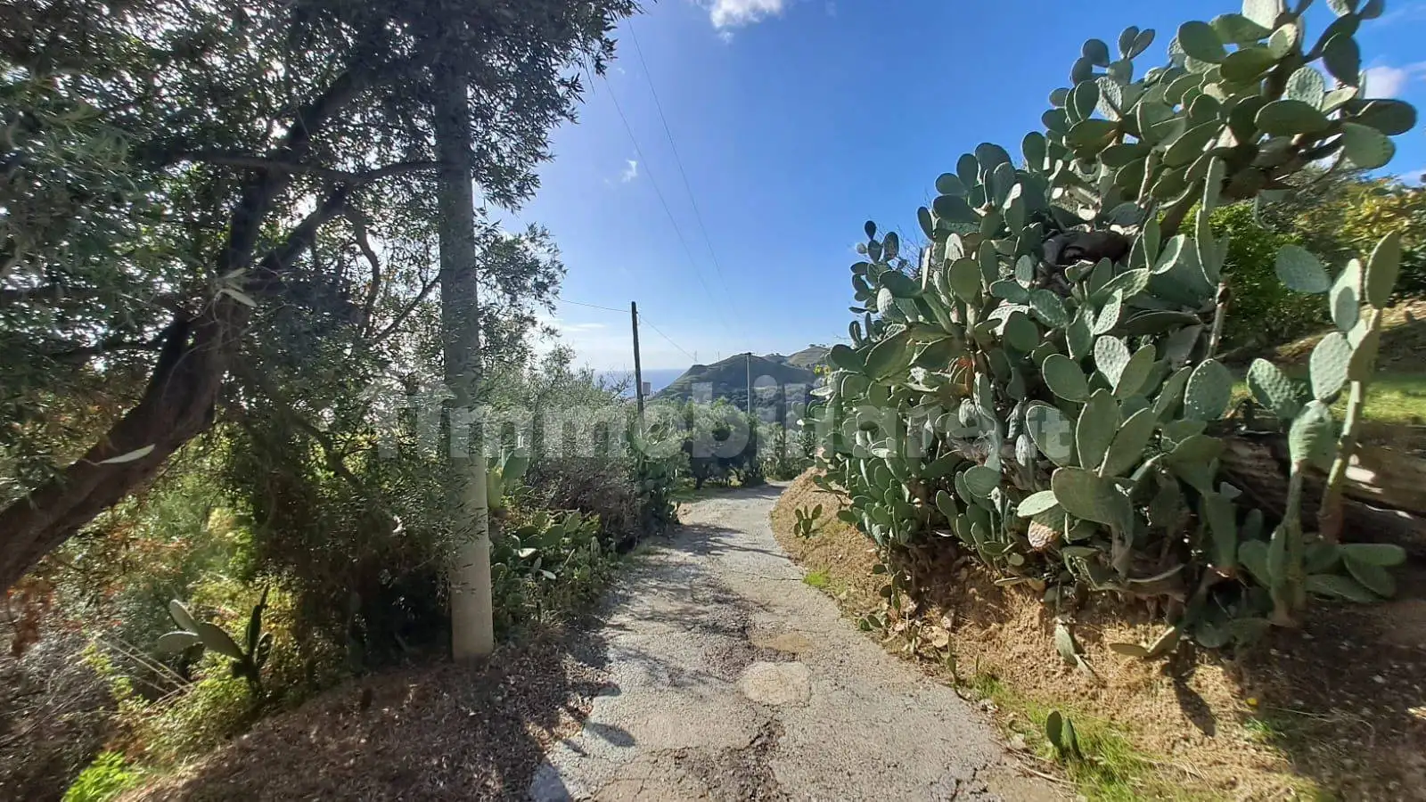 Palazzo - Edificio in vendita a Messina