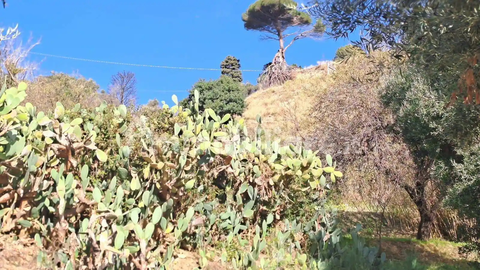 Palazzo - Edificio in Vendita - foto 2