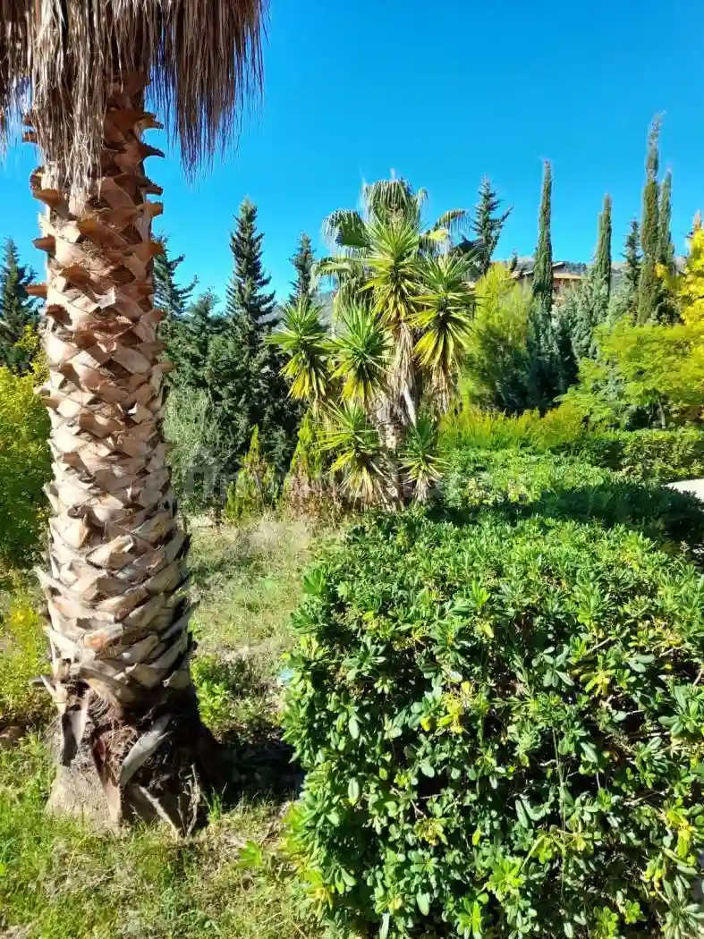 Villa unifamiliare Contrada Canfuto, Bivona - foto 4