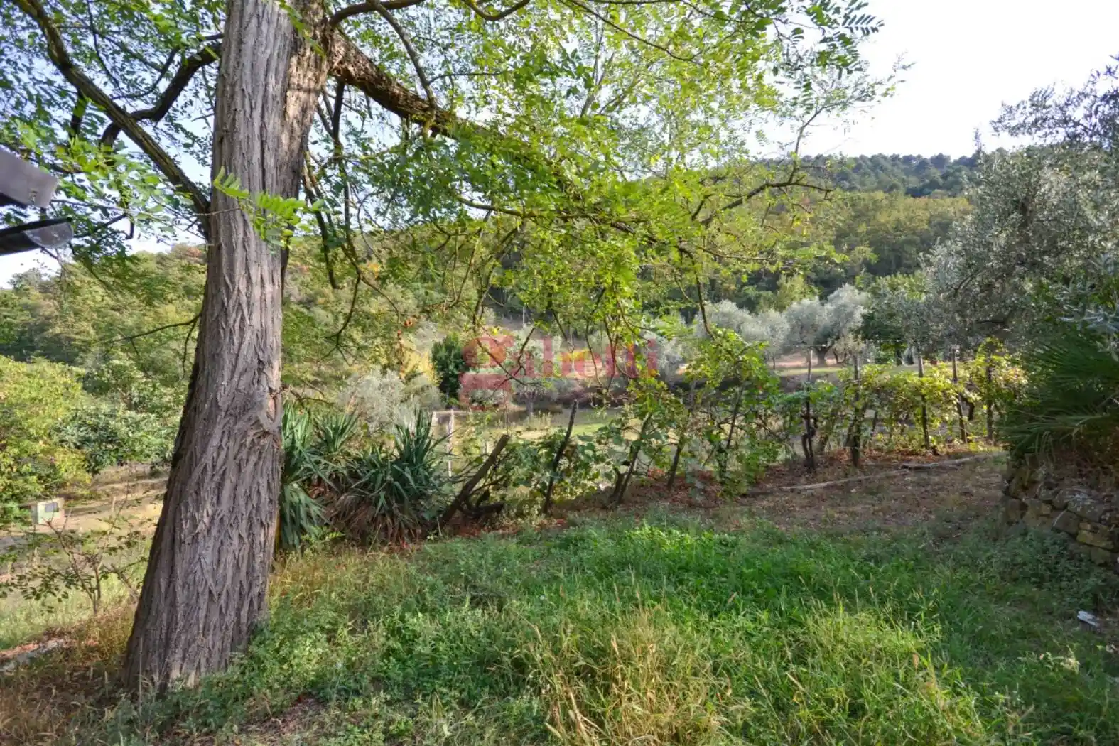 Rustico via di Montisoni, Osteria Nuova, Bagno a Ripoli - foto 5
