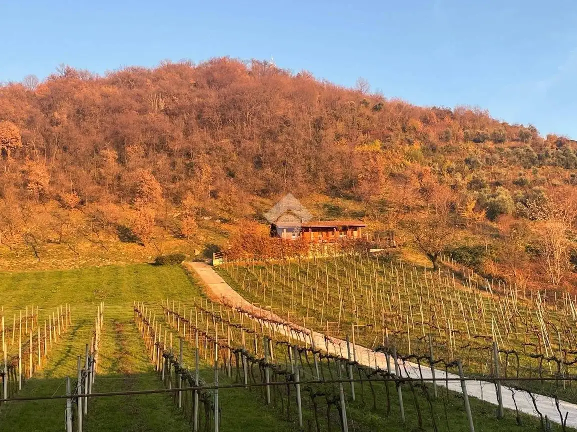 Villa unifamiliare via Ambrogio Fogar 14, Albano Sant'Alessandro - foto 2