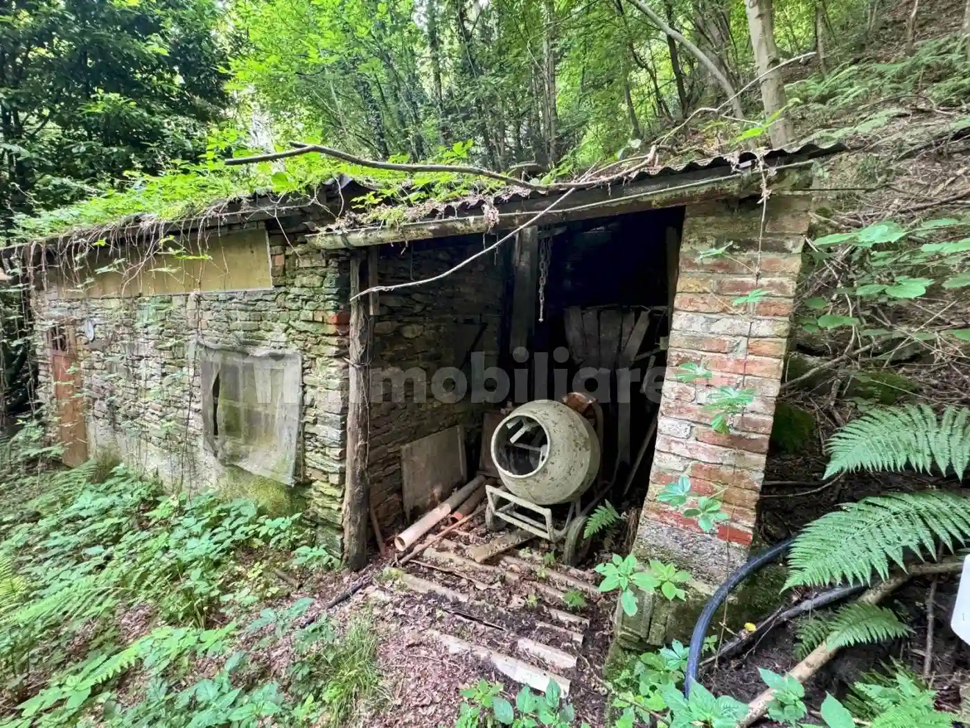 Rustico - Casale - foto 4