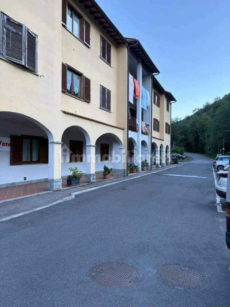 Appartamento in vendita a Londa