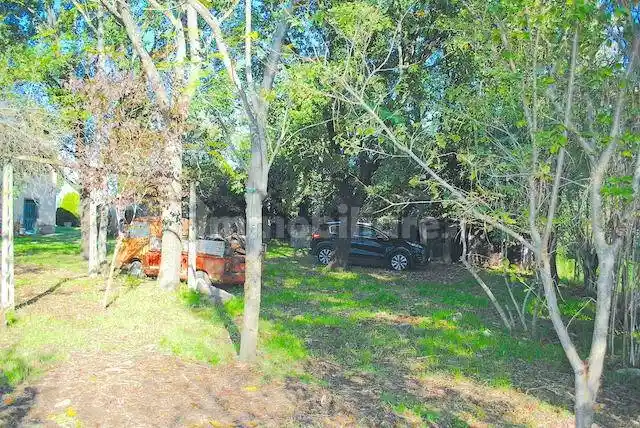 Casale Località Manciano 209, Manciano, Castiglion Fiorentino - foto 3