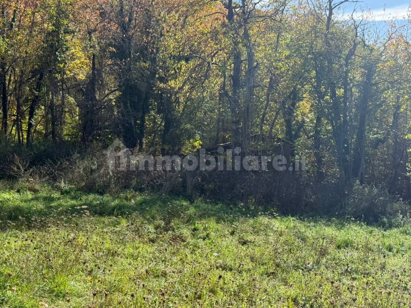 Rustico Strada Provinciale 359 R, Bardi - foto 3