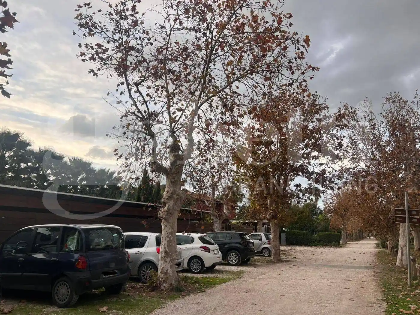 Trilocale via della Luna , 257, Maccarese, Fiumicino - foto 3