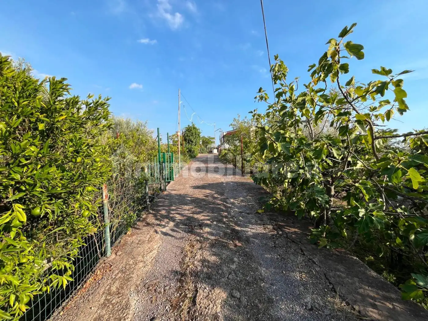 Rustico - Casale in vendita a Santa Maria di Licodia