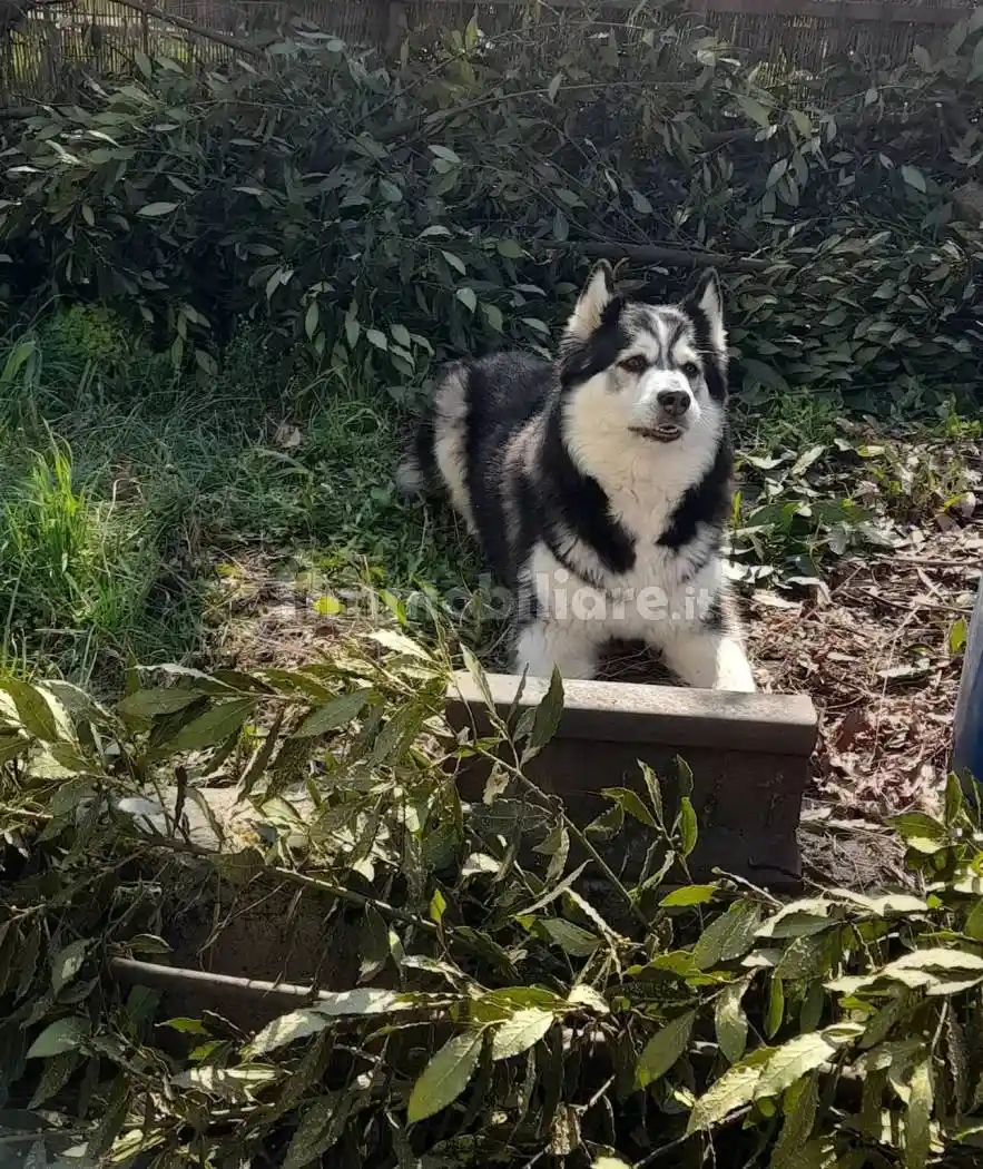 Villa in vendita a Tortona